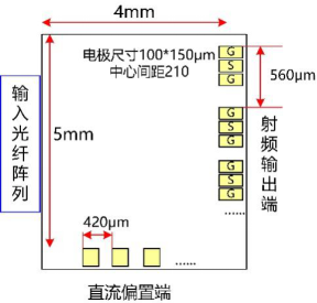 SOI芯片光電探測器陣列芯片尺寸圖